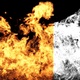 Rising Fire Flames - VideoHive Item for Sale