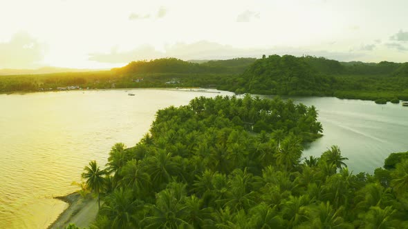 Palms Trees on the Sunny Beach at Sunset Time Aerial View