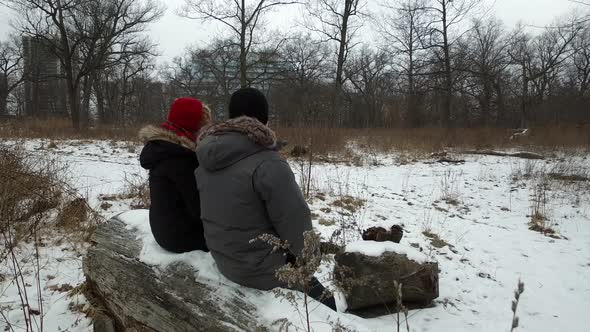 Couple chatting on snowy log in the winter rear angle