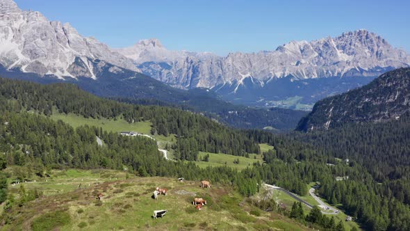 Aerial Tracking Shot of Grass Grazing the Mountains of Dolomites Italy