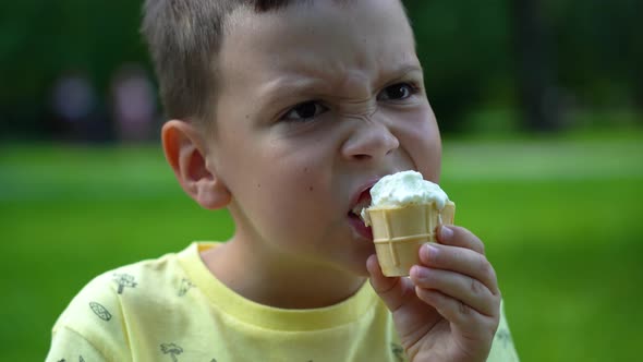 The boy eats delicious ice cream in the park among the big green trees in the background