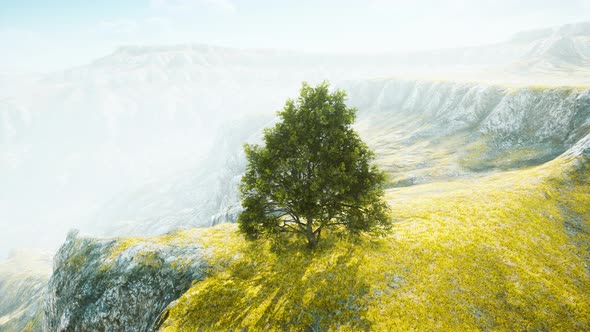 Panoramic Landscape with Lonely Tree Among Green Hills