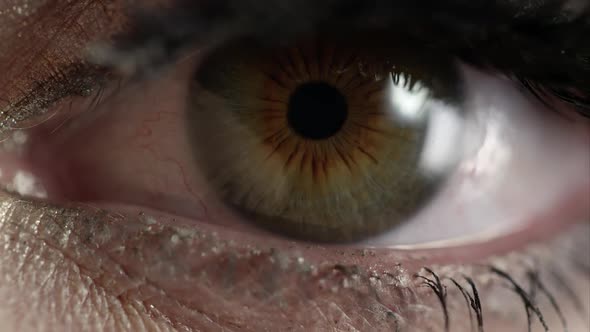 Up close view of woman's eye