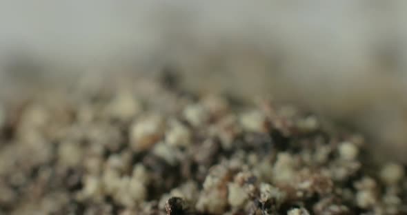 Macro detail of ground black pepper