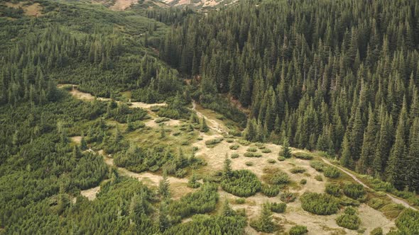 Hike Path at Mountain Forest on Hill