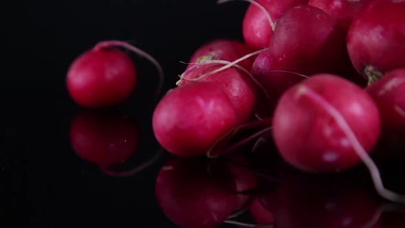 close-up on a radish in the dark