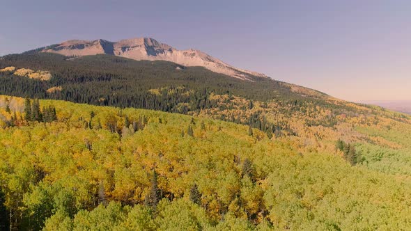 Aspens turning on Kebler Pass, Colorado