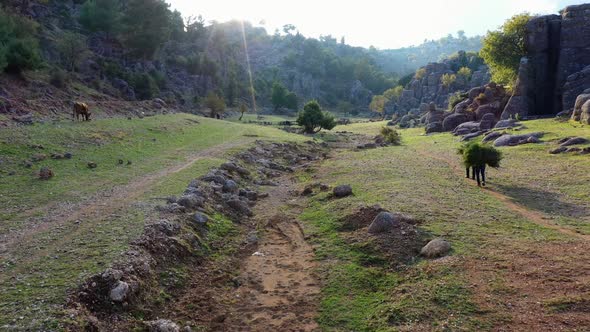 Aerial View of Rural Workers Walking Through Mountains Valley with Branches on Their Backs