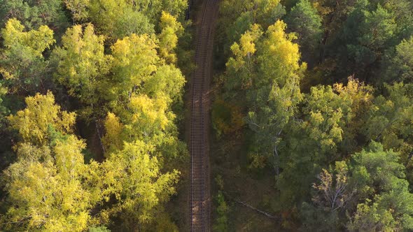 The Drone Is Flying Over the Autumn Forest Along of Rails