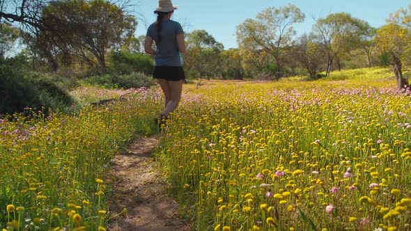 Young woman walks through a meadow of colourful Everlasting wildflowers in Coalseam Conservation Par