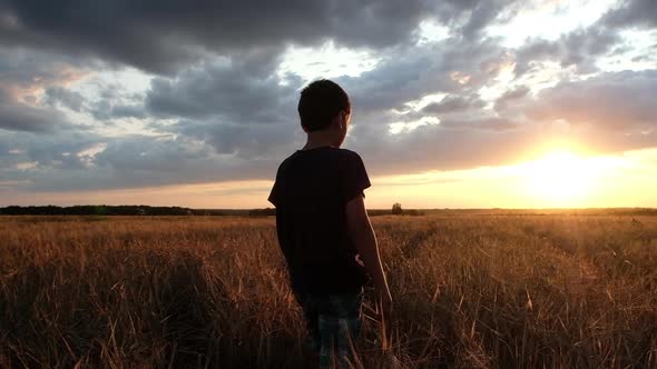 boy in a dark t-shirt and shorts is on the field of wheat.