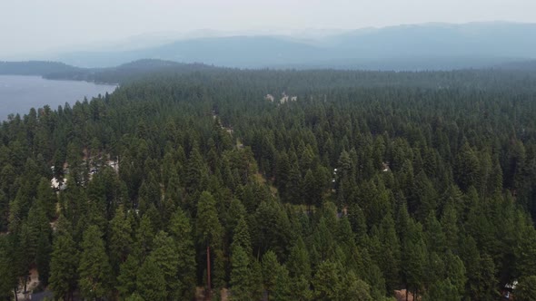 Drone crane shot revealing cars driving down a road surrounded by tall pine trees near a lake in Ida