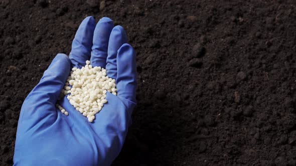 Mineral Fertilizer in Hand