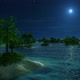 Flying over Small Tropical Islands at Sea. Night - VideoHive Item for Sale