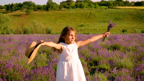 Child Girl in Flowers Lavender Field