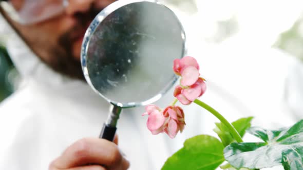 Man examining plant through magnifying glass