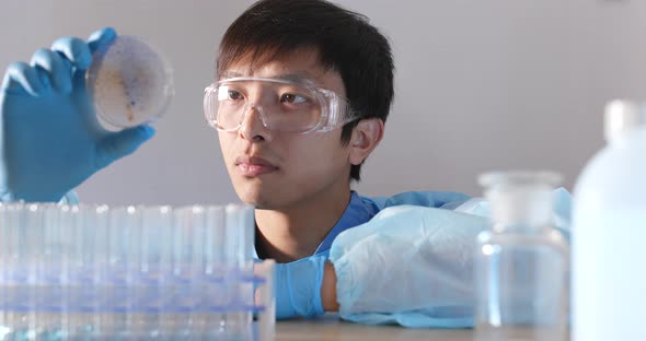 Scientist doing research on bacterial colonies in an opened glass petri dish