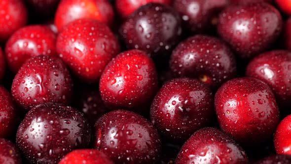 Sweet cherry with water drops, as background. Close up view.