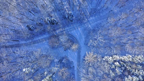 Country road through snowy forest in Poland.