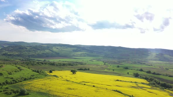 Spring Landscape With Rapeseed And Grass