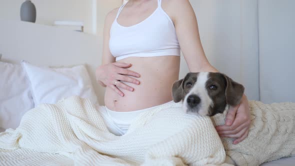 Pregnant Girl Resting In Bed With Her Dog At Home