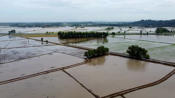 Water season at paddy field