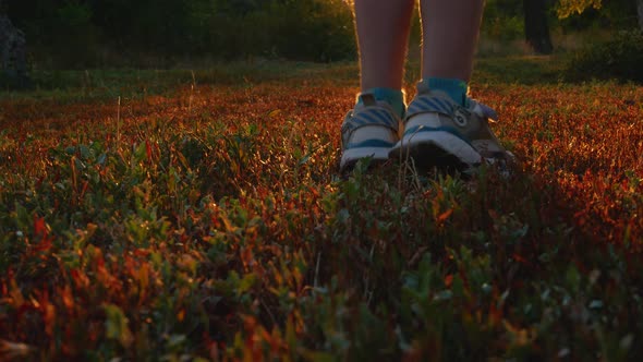 Feet legs walks on colorful red green autumn grass rear view. Calves of a child in sneakers walking