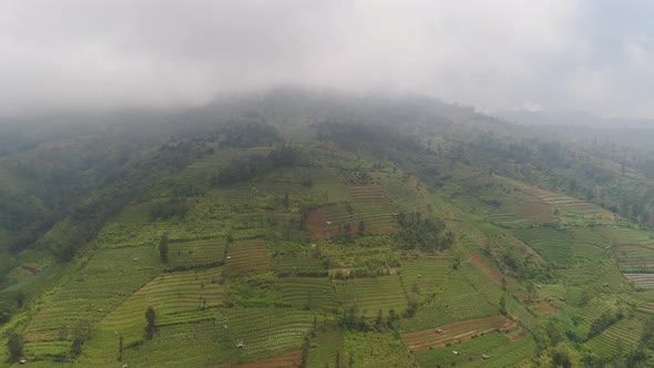 Tropical Landscape with Farmlands in Mountains