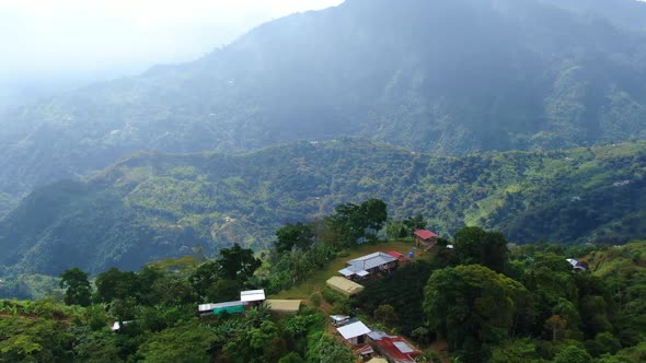 Coffee and Banana Farm