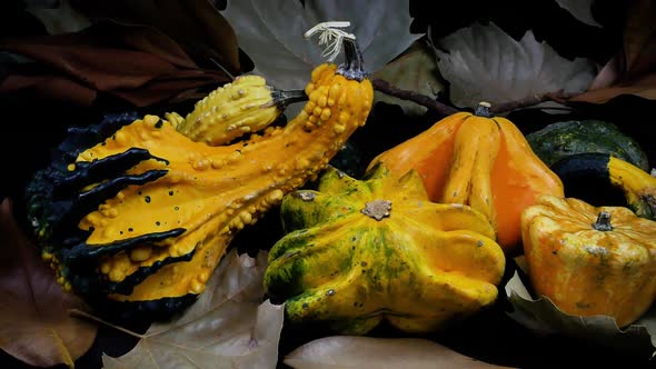 Sliding pumpkins