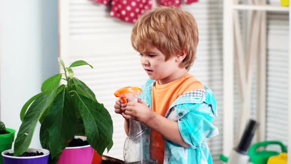 Cute Child Boy Care for Plant. Kid Gardening and Watering Plants in Pot at Home. Spring Day.