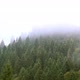 Beautiful Mist Over the Trees in the Mountains - VideoHive Item for Sale