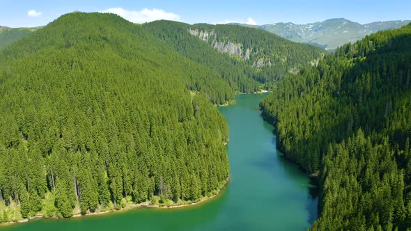 Aerial view of blue lake and green forests. Fresh water. Lake Baikal