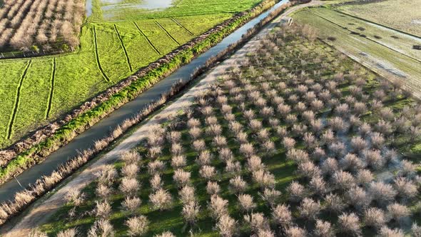 Farm Fields Background Texture 4 K Aerial View