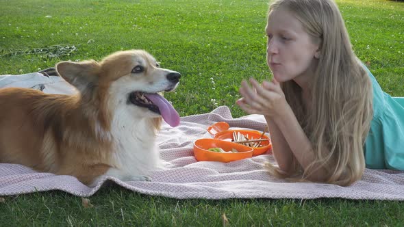 Child Girl And Fluffy Corgi Dog 2