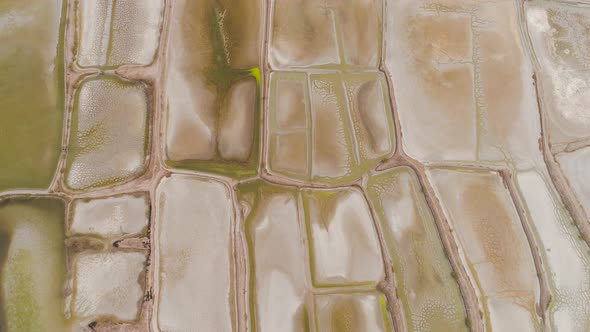 Fish Ponds in Surabaya, Java, Indonesia