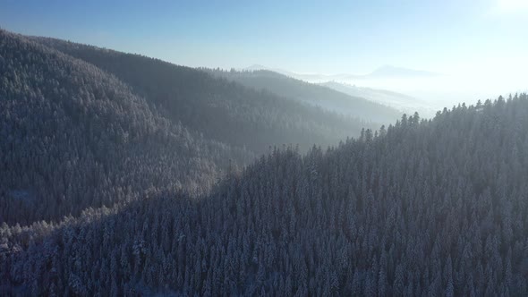 Aerial view on the mountains and forest in the winter time. Natural winter landscape from air.