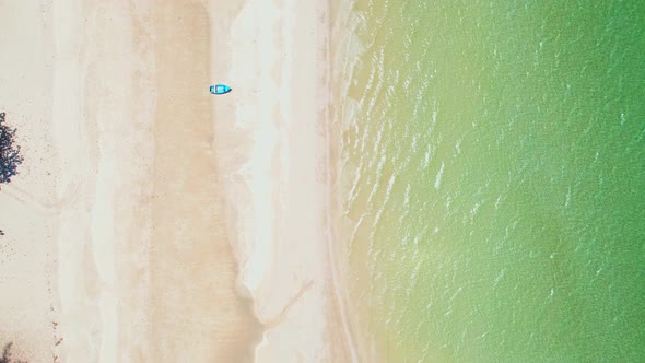 Drone flying over the coconut palms with the beach and the sea