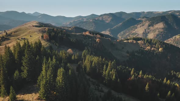 Green Spruce Forest at Mountain Ridges Aerial