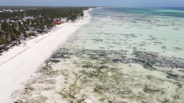 Ocean Low Tide Near the Coast of Zanzibar Island Tanzania