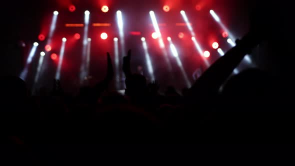 Crowd Concert Summer Music Festival