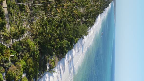 Zanzibar Tanzania  Ocean Shore Covered with Green Thickets Vertical Video Aerial View