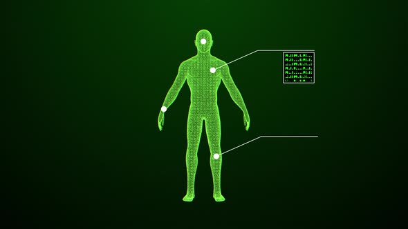 Digital human scanning
