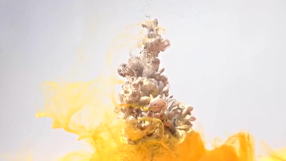 Ink Paint Mix Motion