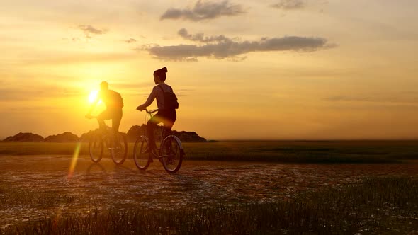 Couple Wandering with Bicycles at Sunset alt