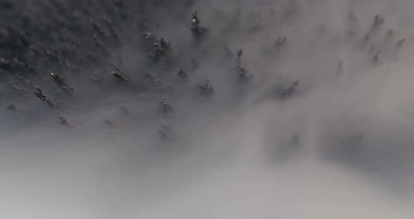 Smoke Over Iron Powder Under The Influence of a Magnetic Field, Abstract Background