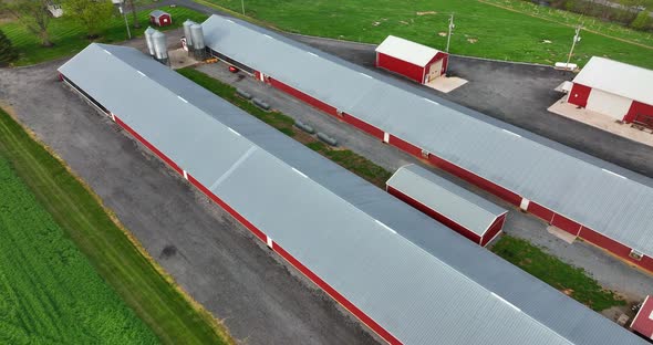 Red chicken poultry house barns for birds. Aerial pullback reveal of green rural farm fields in spri