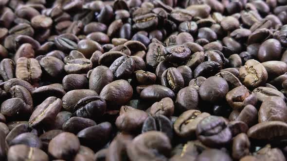 Closeup of Bunch of Roasted Coffee Beans Falling on the Coffee Texture