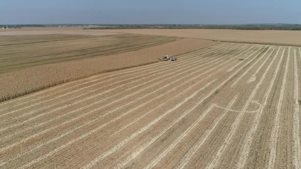 Combine Harvester in the Field Pours Grain of Oats Into the Truck Body View From Height