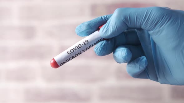 Hand Hold Omicron Variant Corona Virus Blood Test Tube